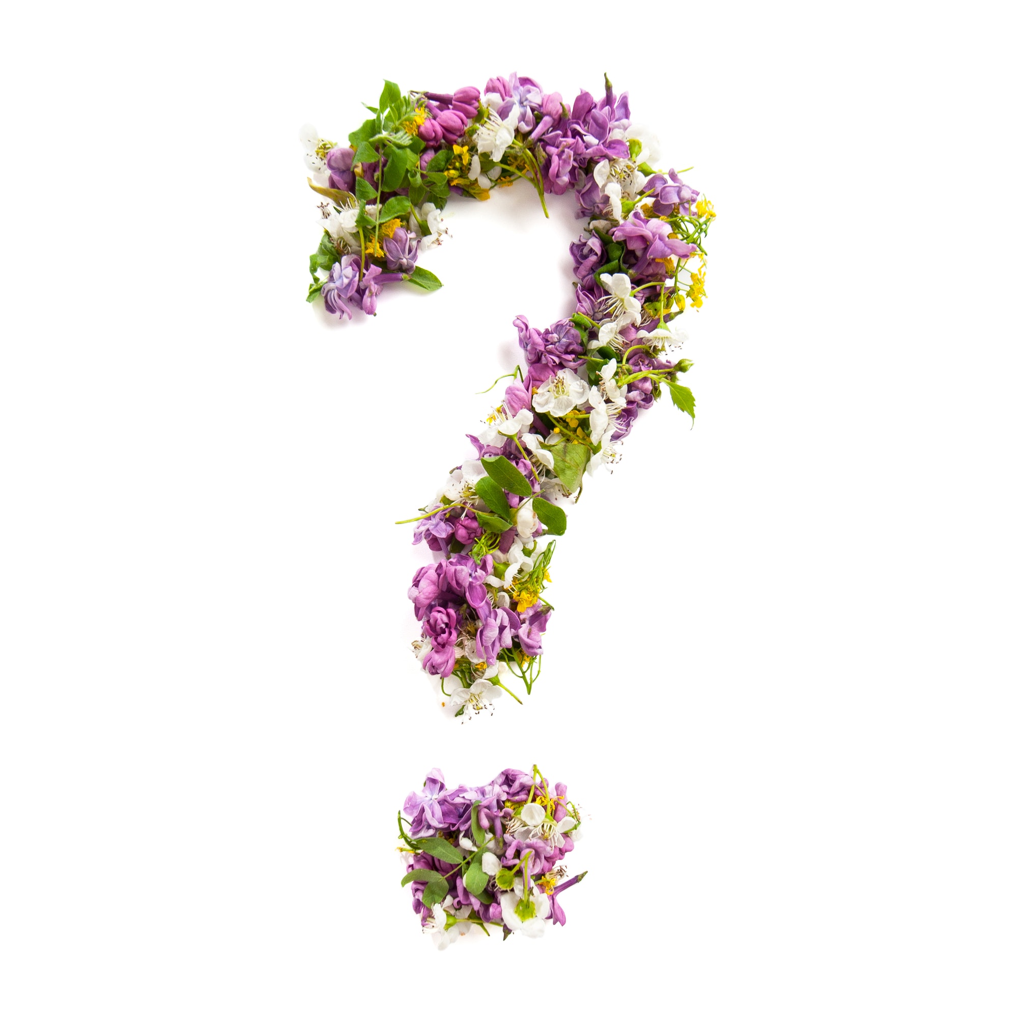 Question mark of natural meadow flowers and lilacs on a white ba